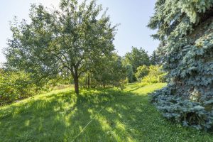 Gartenblick 3